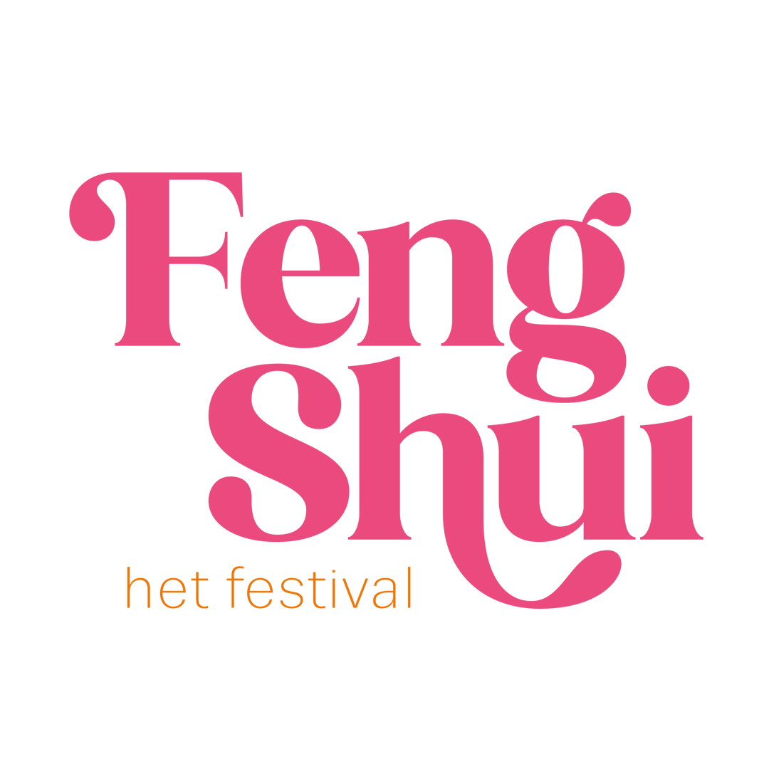 Feng Shui Festival exposant - elektriciteit