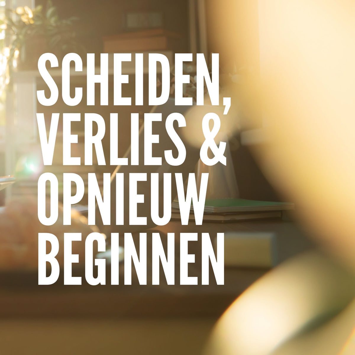 Scheiden, verlies & opnieuw beginnen