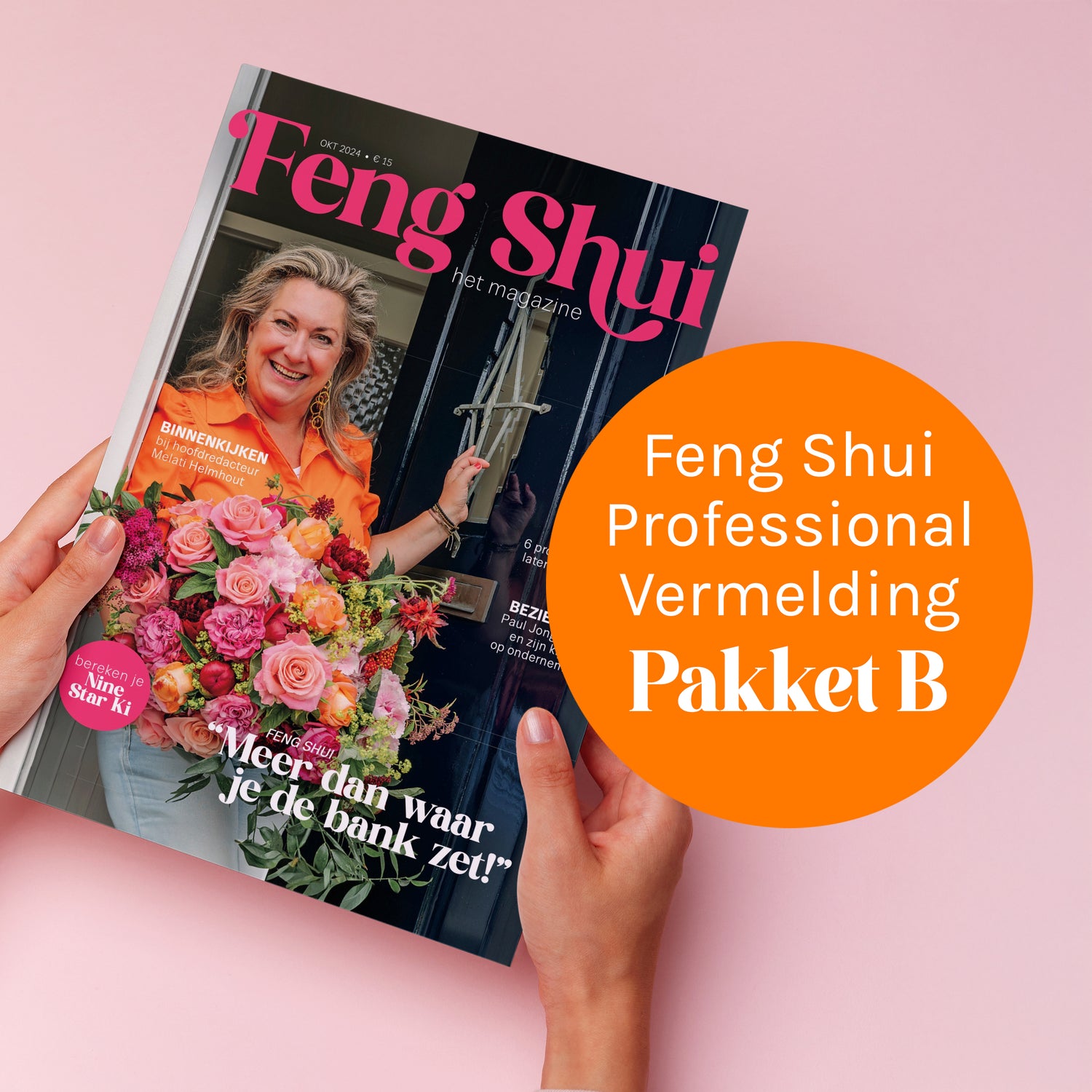 Feng Shui Professional vermelding - Pakket B