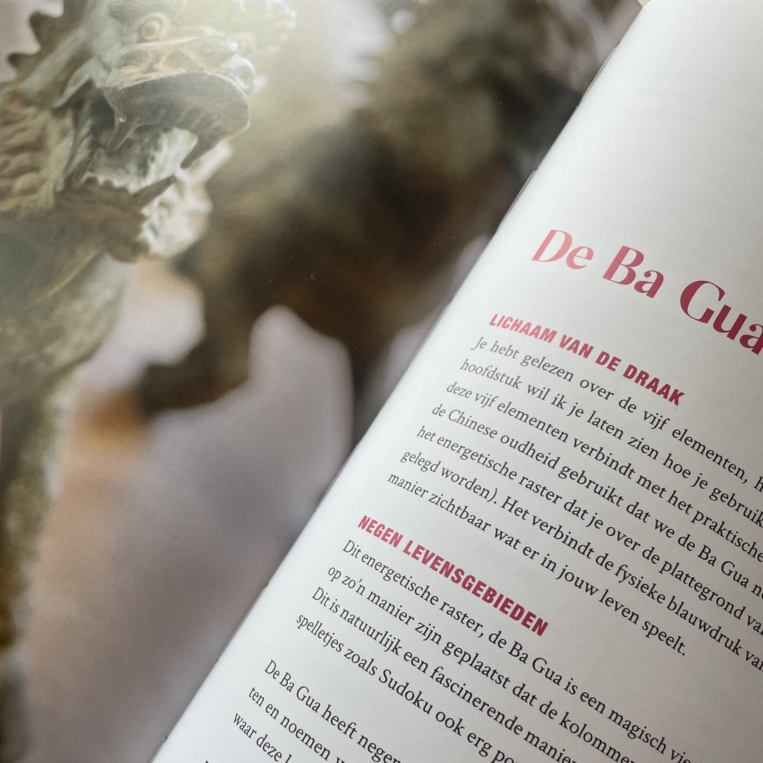 Feng Shui het Boek