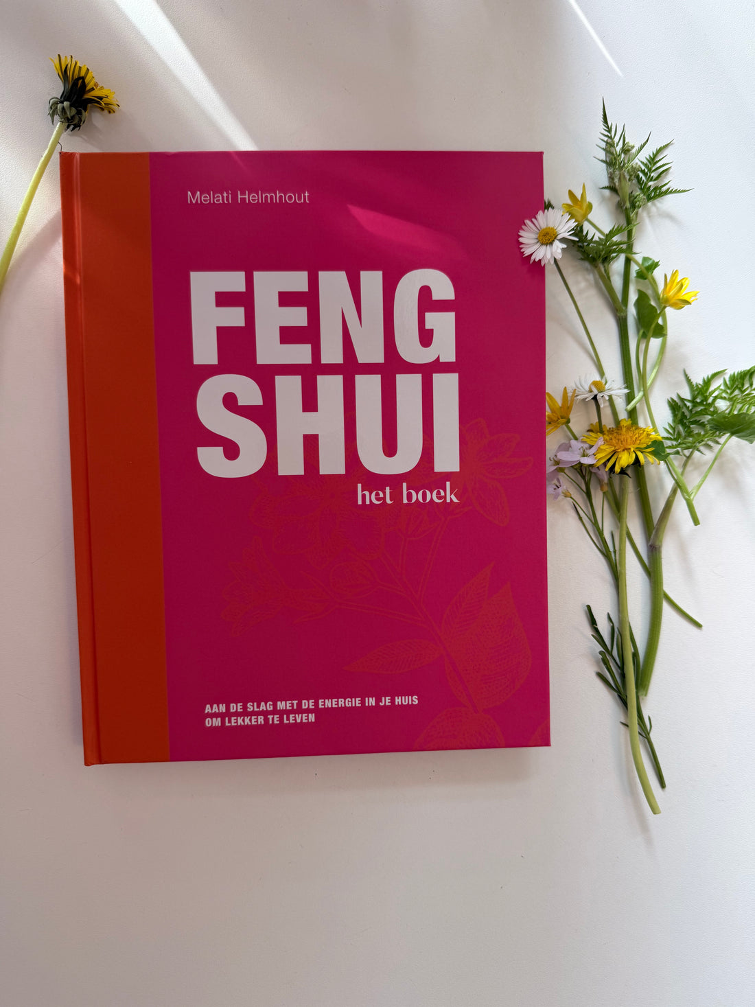 Feng Shui het Boek