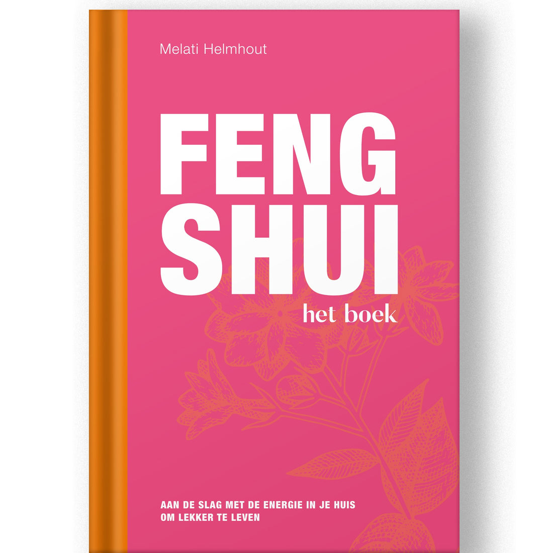 Feng Shui het Boek