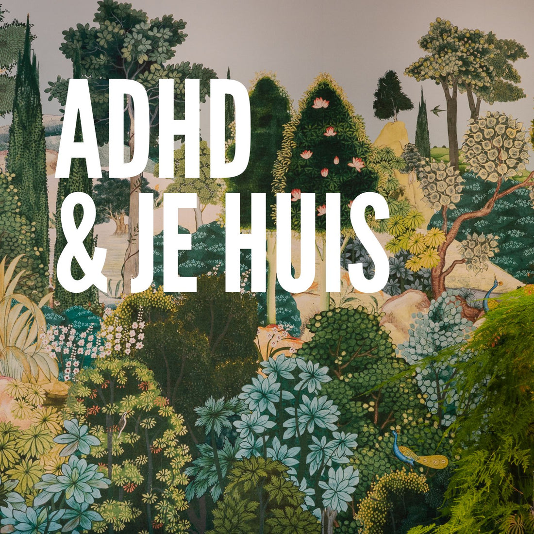 ADHD &amp; je huis