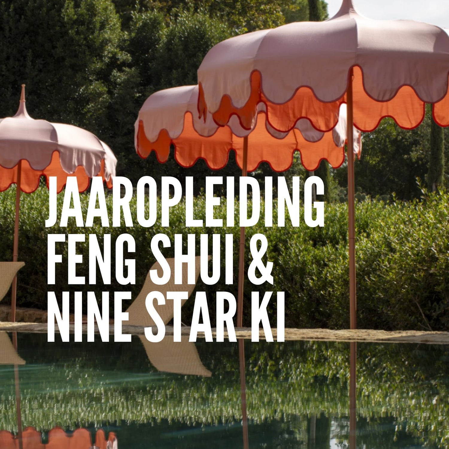 Feng Shui &amp; Nine Star Ki opleiding