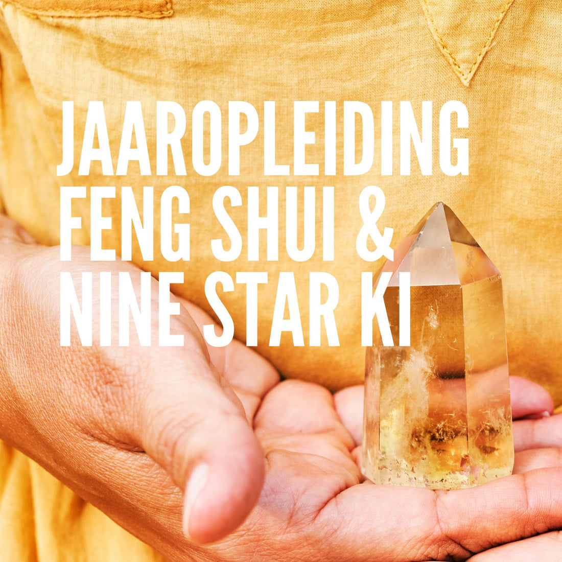 Feng Shui &amp; Nine Star Ki opleiding
